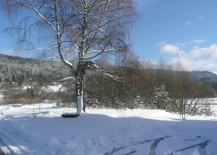 D2 Beautiful Of 1 A 4 Pers Face Valley 3 Stars Wifi 아파트 르톨리